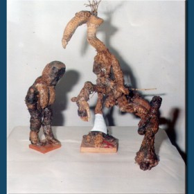 radici sculutra di silvio gragnaniello